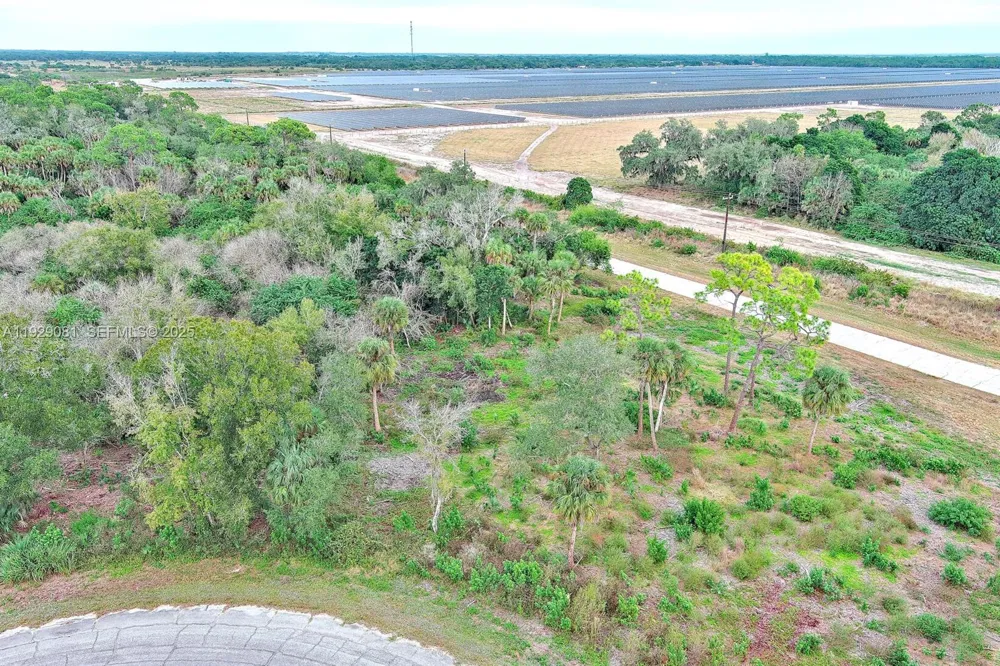 171 CAROUSEL AVE La Belle, FL 33935