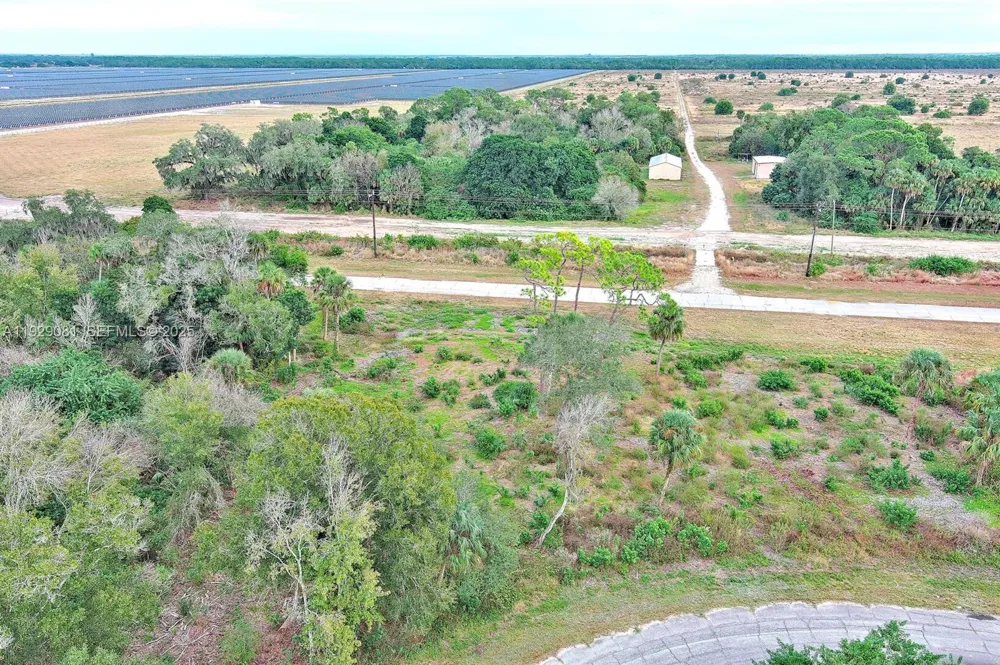 171 CAROUSEL AVE La Belle, FL 33935