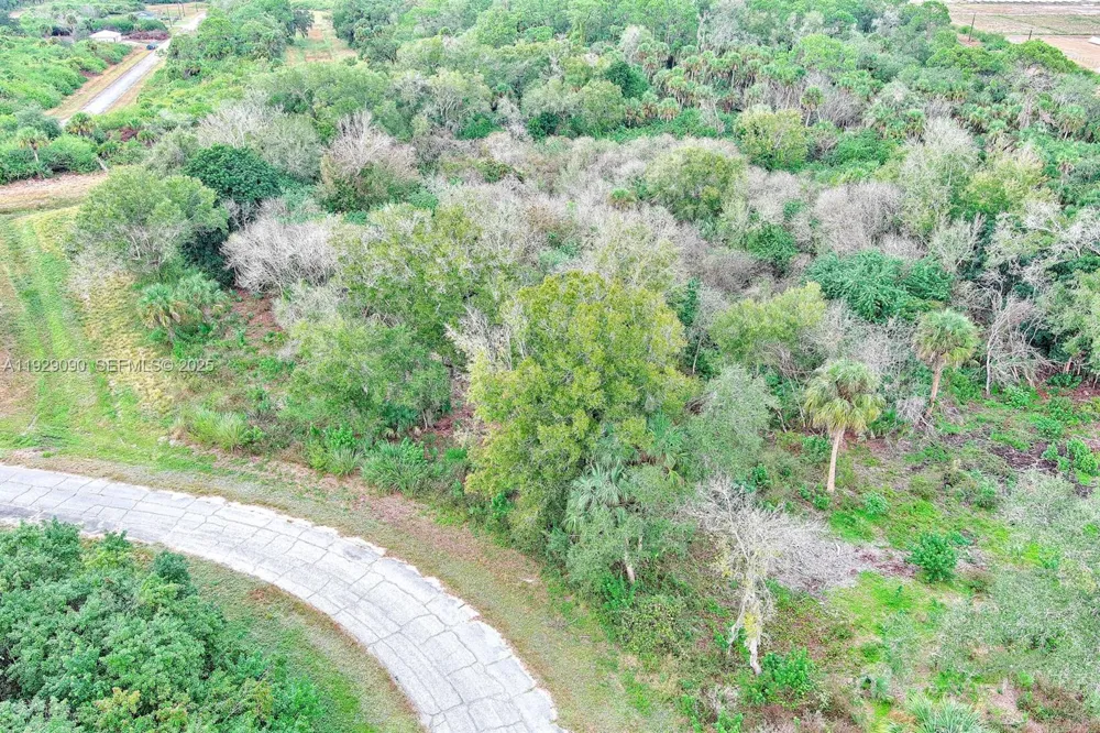 173 CAROUSEL AVE La Belle, FL 33935