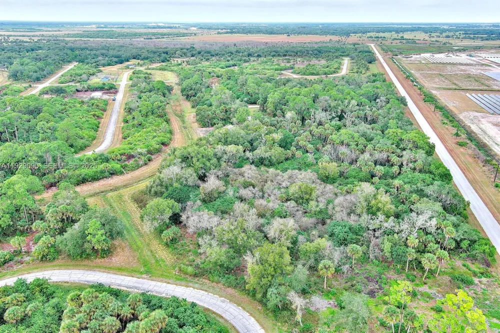 173 CAROUSEL AVE La Belle, FL 33935