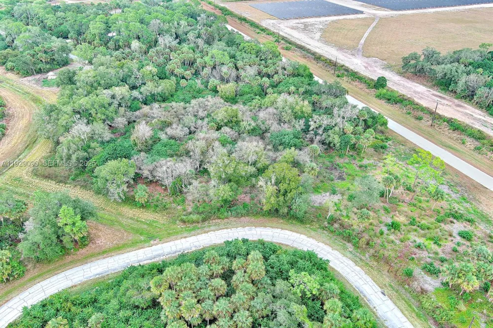 173 CAROUSEL AVE La Belle, FL 33935