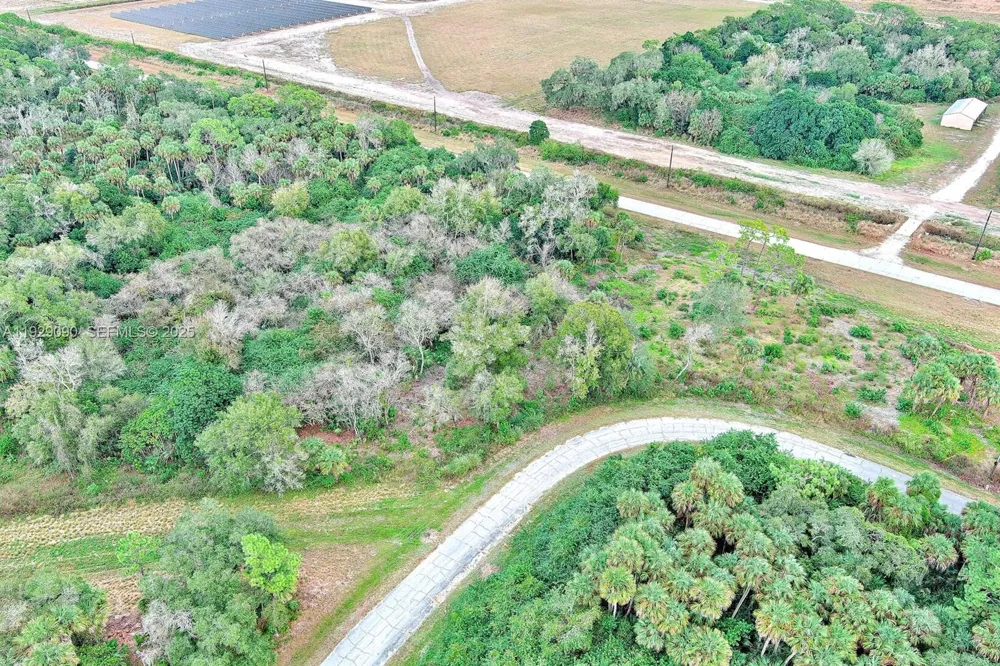 173 CAROUSEL AVE La Belle, FL 33935