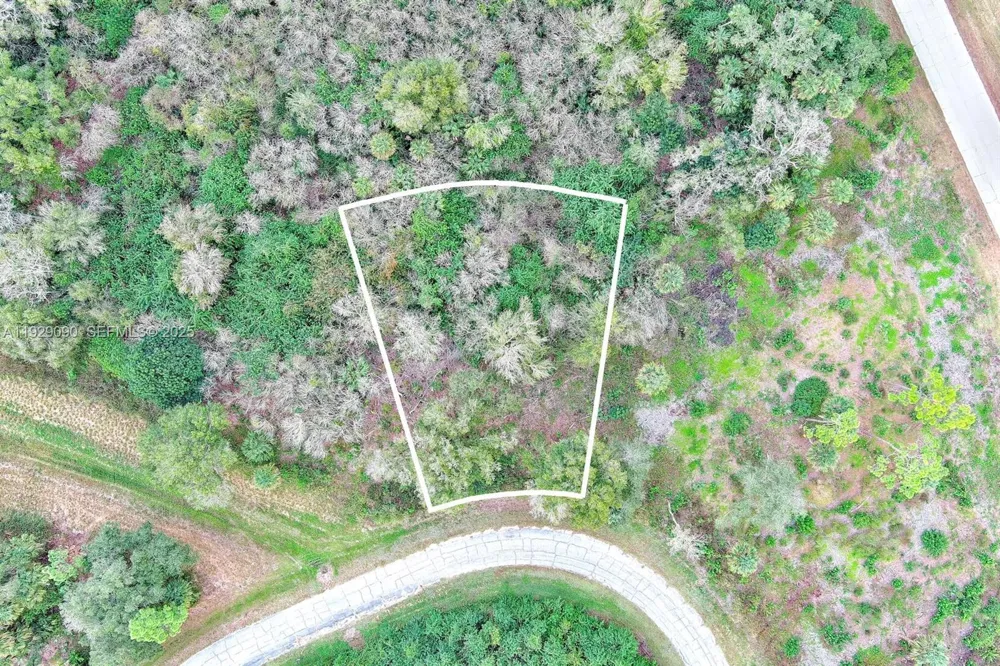 173 CAROUSEL AVE La Belle, FL 33935