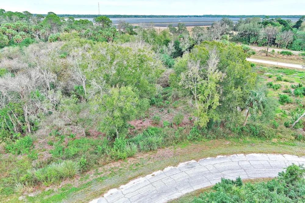 173 CAROUSEL AVE La Belle, FL 33935