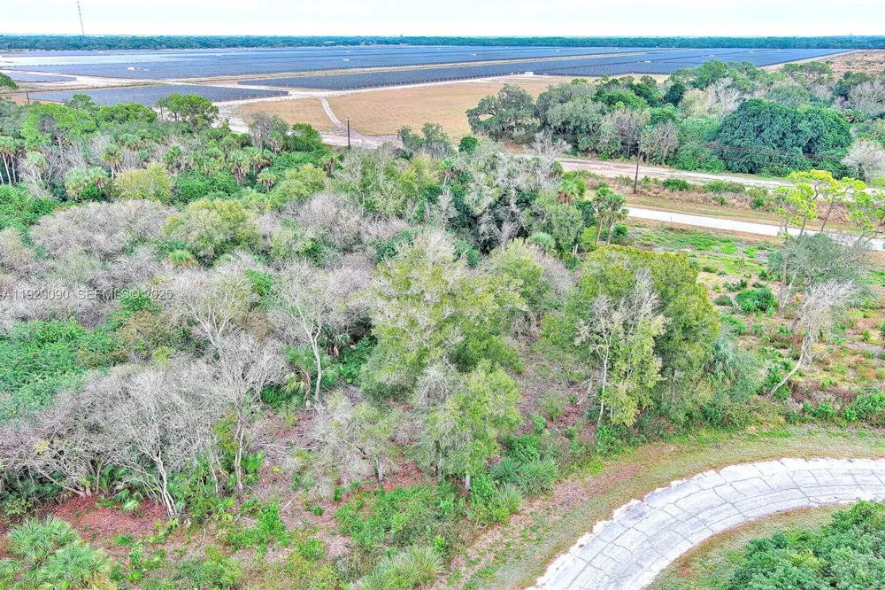 173 CAROUSEL AVE La Belle, FL 33935