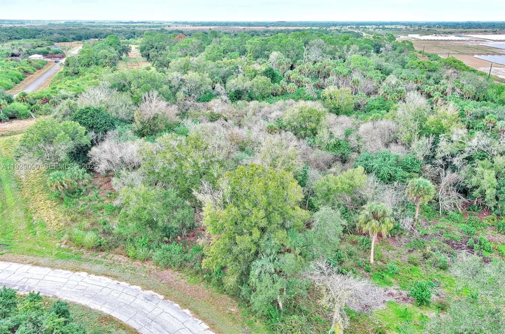 173 CAROUSEL AVE La Belle, FL 33935