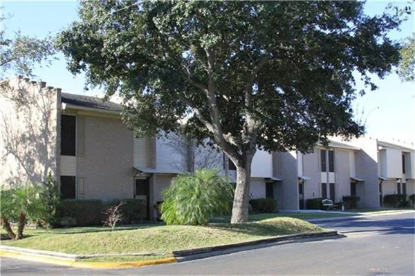 801 Greenbriar Drive Edinburg, TX 78539