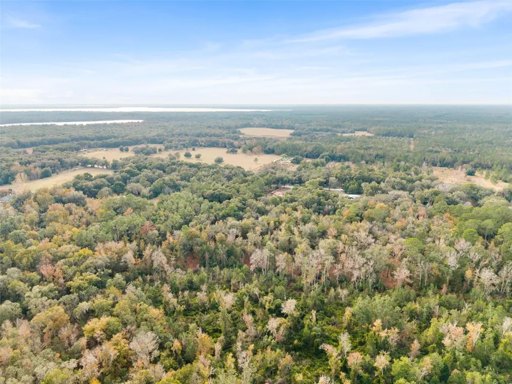 SE 225TH DRIVE Hawthorne, FL 32640