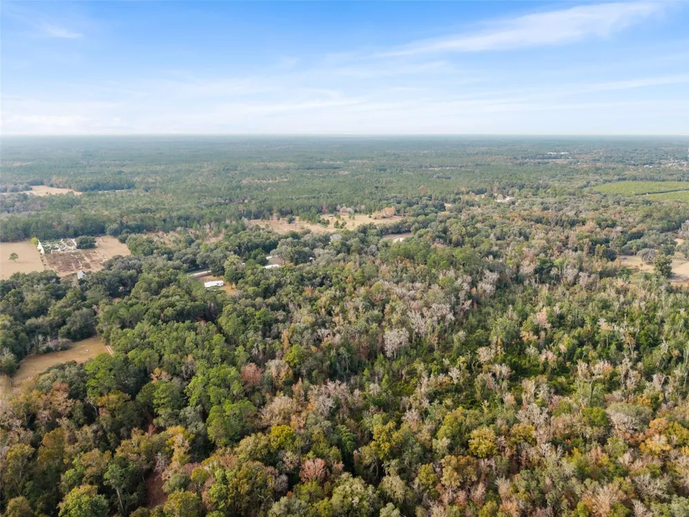 SE 225TH DRIVE Hawthorne, FL 32640