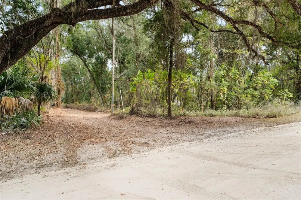 SE 225TH DRIVE Hawthorne, FL 32640
