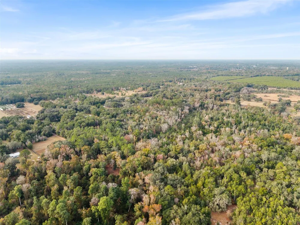 SE 225TH DRIVE Hawthorne, FL 32640