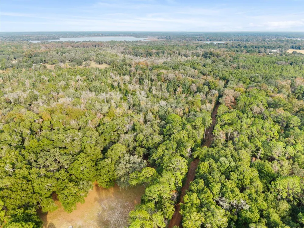 SE 225TH DRIVE Hawthorne, FL 32640