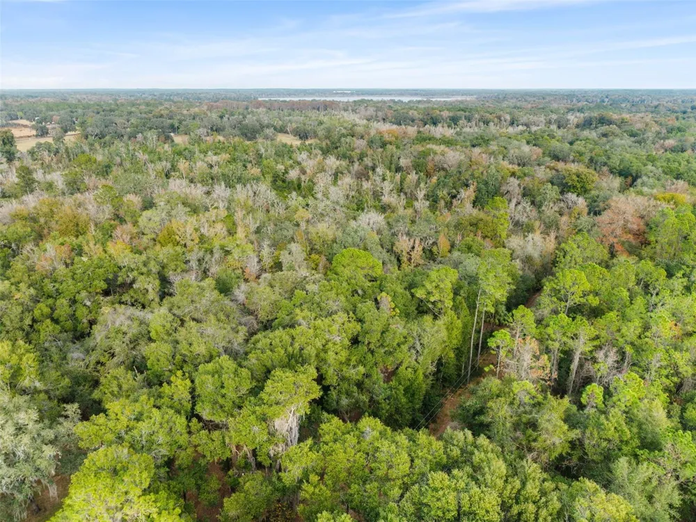 SE 225TH DRIVE Hawthorne, FL 32640