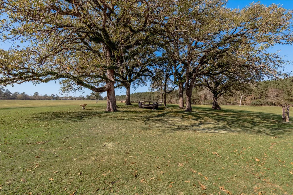 5316 Sh 19 N Trinity, TX 75862