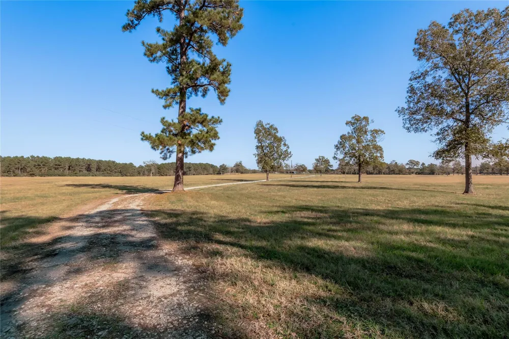 5316 Sh 19 N Trinity, TX 75862