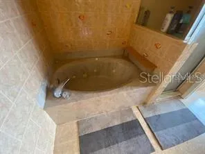 30 SAN RAFAEL COURT Palm Coast, FL 32137