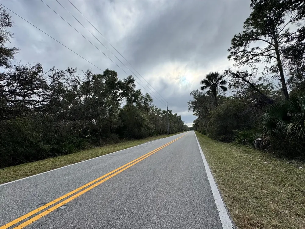 REYNOLDS, LOT 0420 ROAD #Lot 0420 De Leon Springs, FL 32130