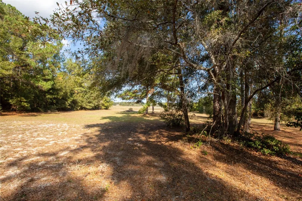730+732 STATE ROAD 26 Melrose, FL 32666