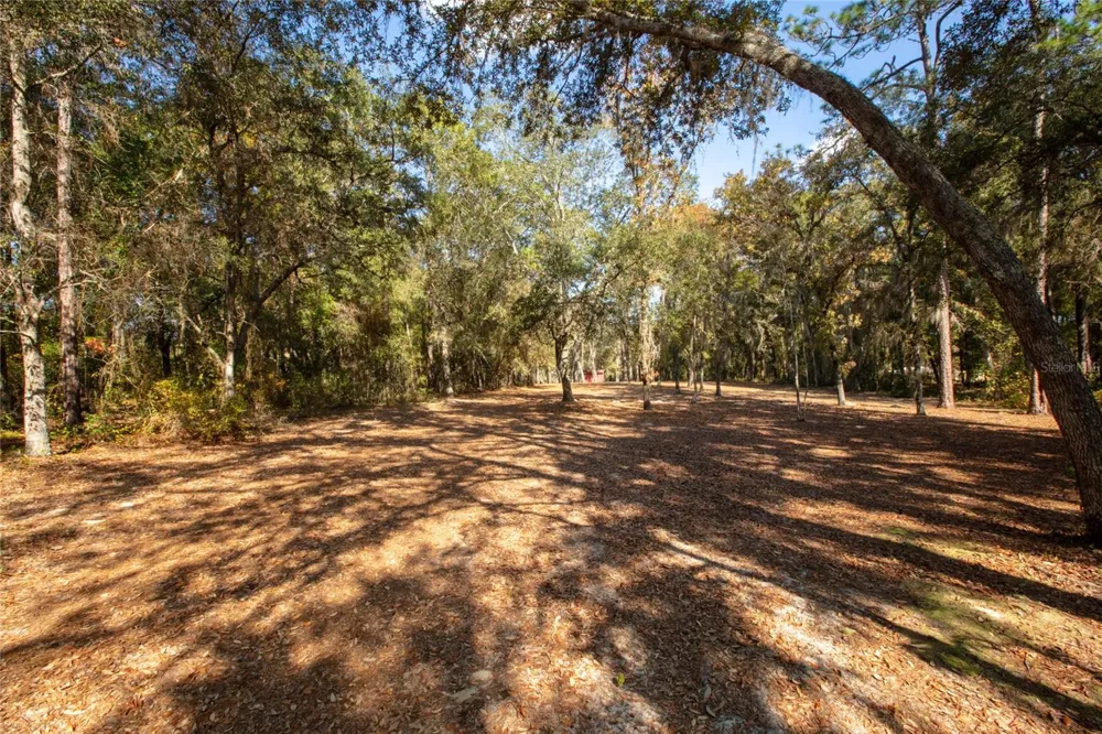 730+732 STATE ROAD 26 Melrose, FL 32666