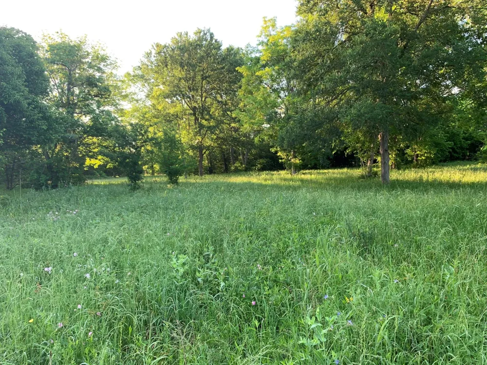 501 Fm 1227 Navasota, TX 77868