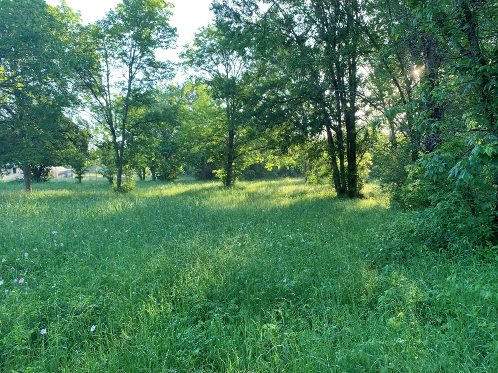 501 Fm 1227 Navasota, TX 77868