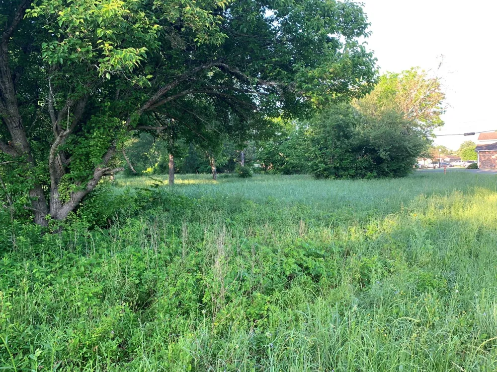 501 Fm 1227 Navasota, TX 77868