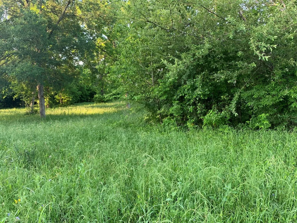 501 Fm 1227 Navasota, TX 77868