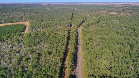 Hwy 61