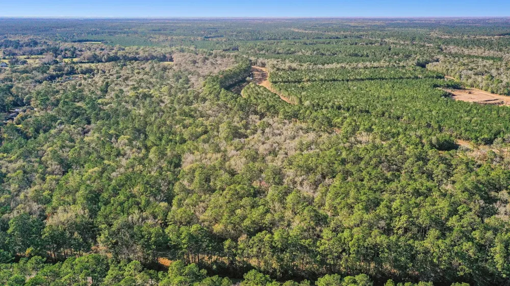 Hwy 61 Hankamer, TX 77562