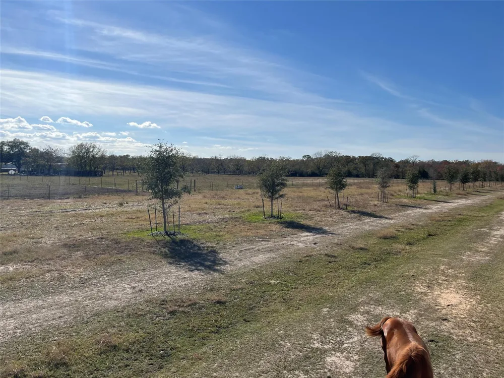 6817 Fm 1952 Road Wallis, TX 77485
