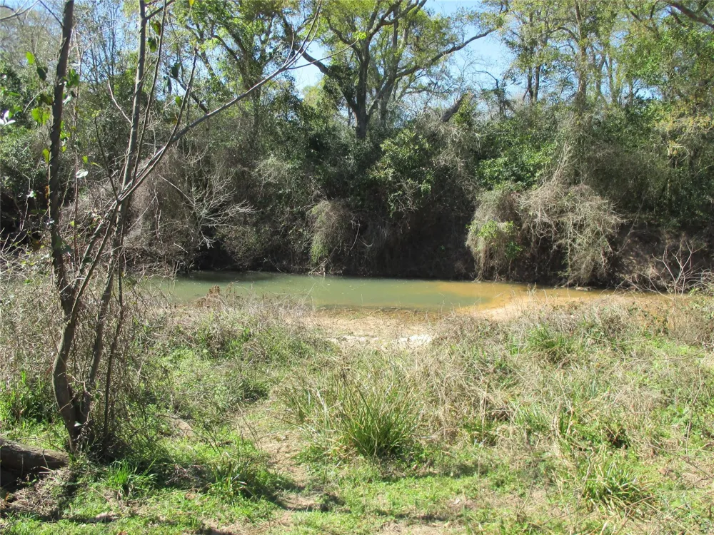 6817 Fm 1952 Road Wallis, TX 77485