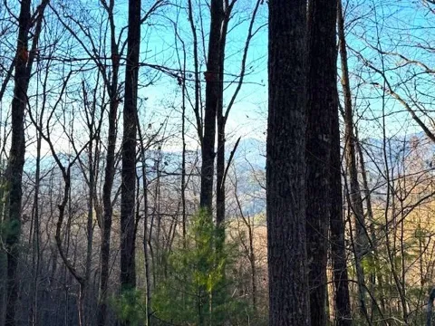 7.0 ac Laurel Drive