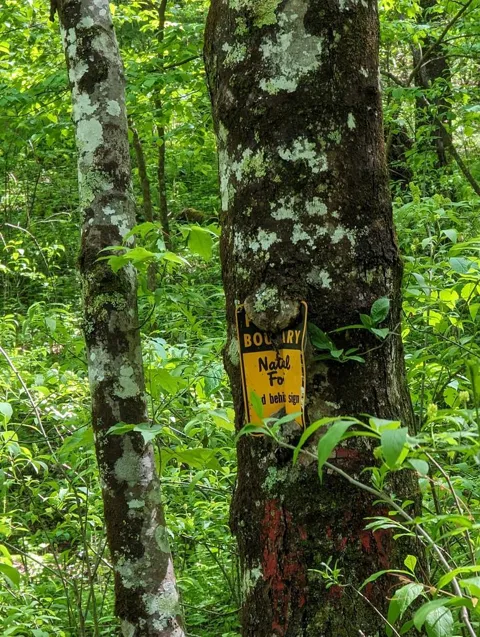 00 Buck Creek Trail