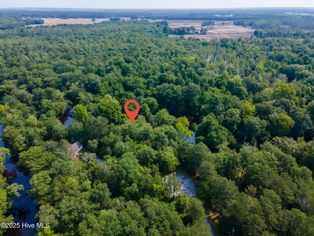 366 Paul Drive Trenton, NC 28585