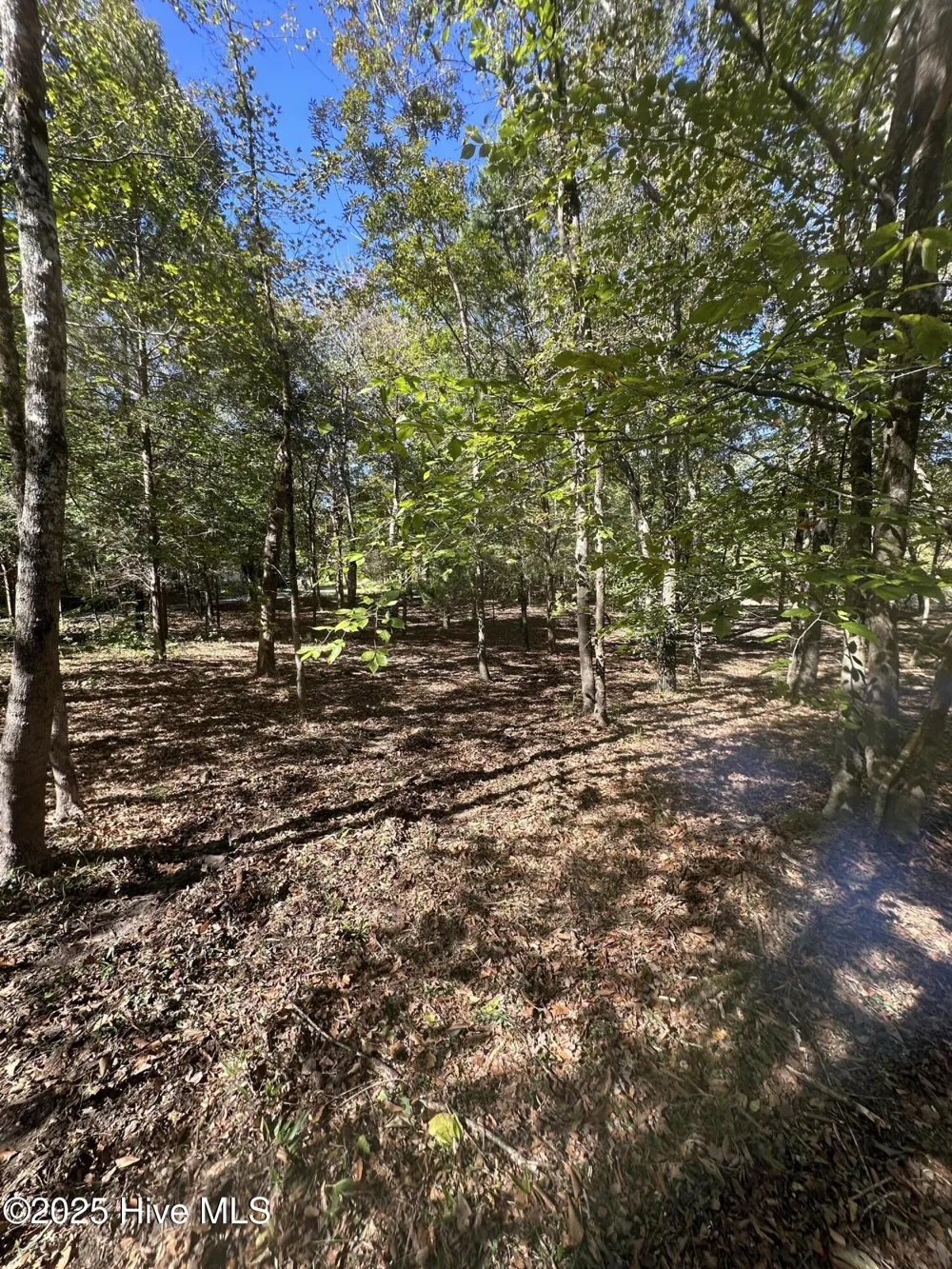 366 Paul Drive Trenton, NC 28585