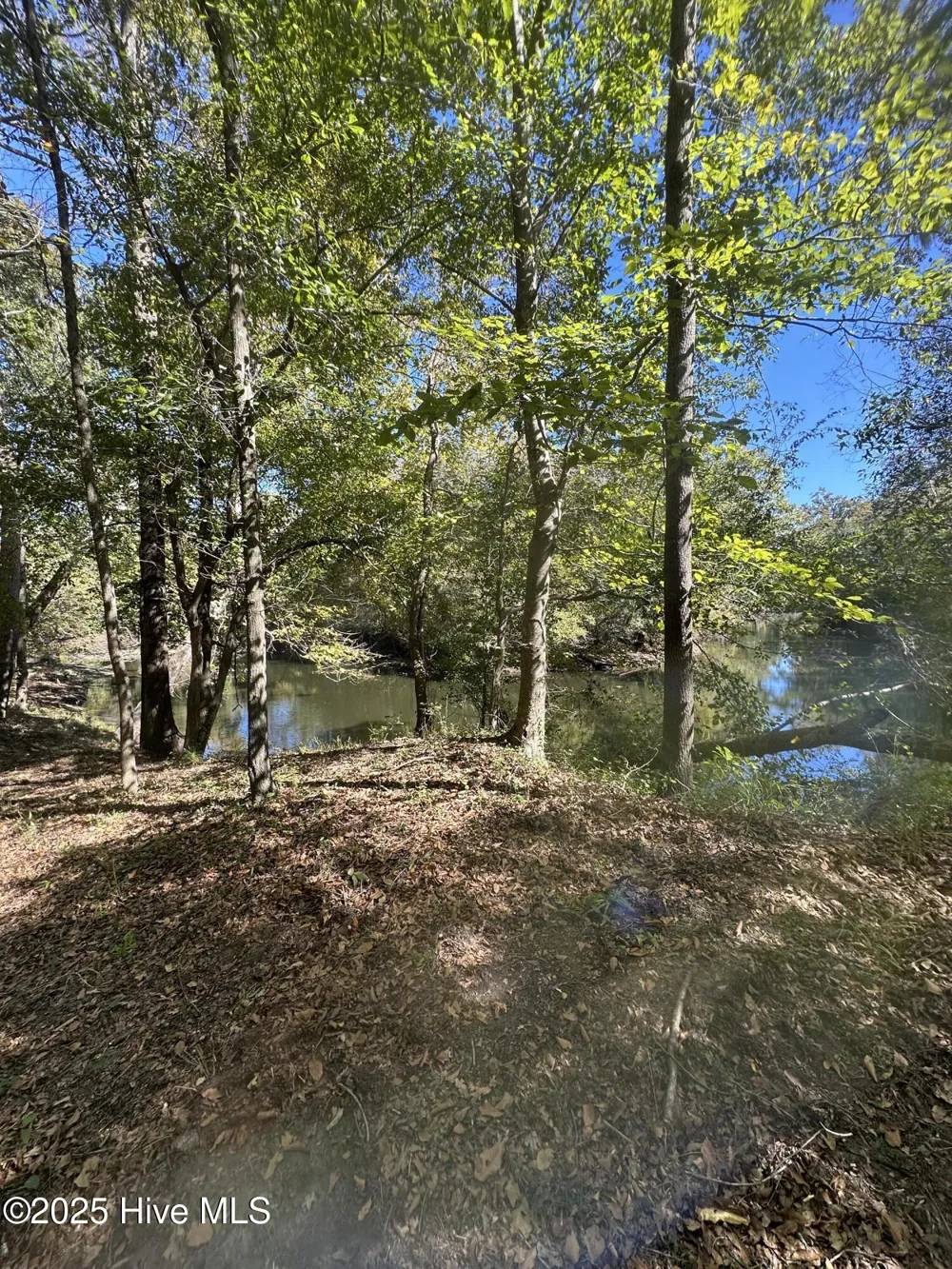 366 Paul Drive Trenton, NC 28585