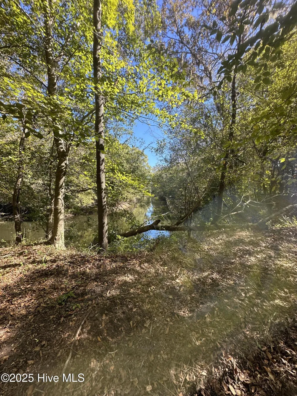 366 Paul Drive Trenton, NC 28585