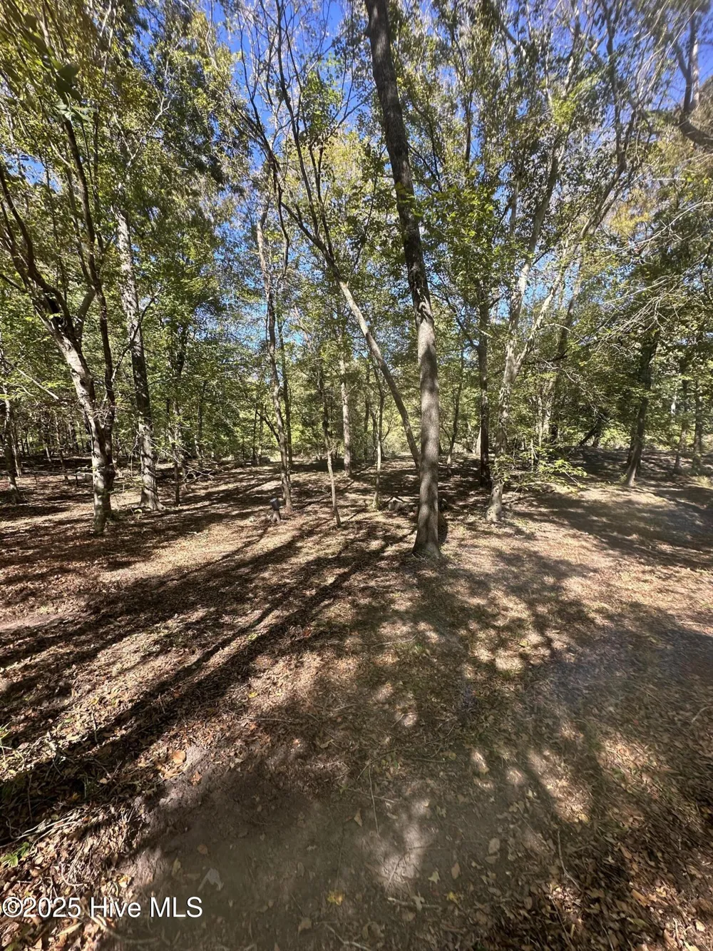 366 Paul Drive Trenton, NC 28585