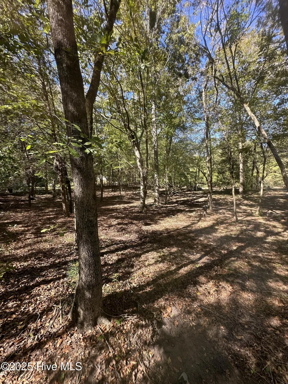 366 Paul Drive Trenton, NC 28585