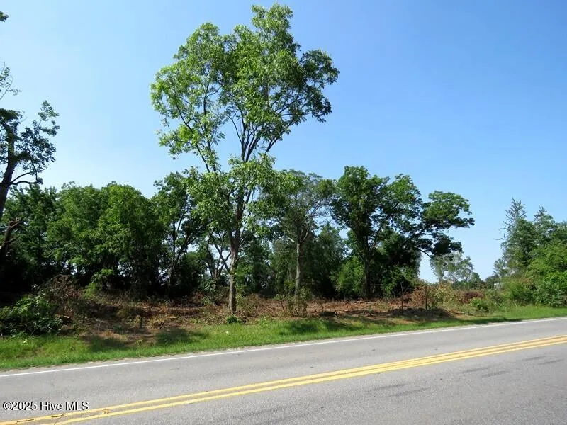 Tbd Highway 71 Red Springs, NC 28377