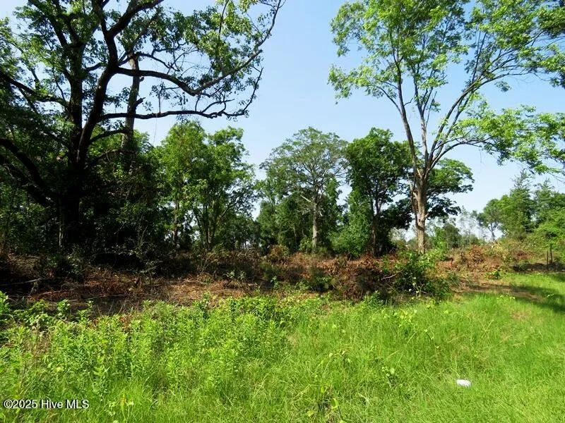 Tbd Highway 71 Red Springs, NC 28377