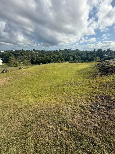 COLINAS DE PALMARITO