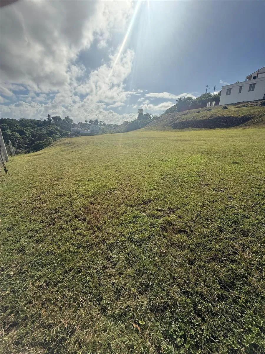 COLINAS DE PALMARITO Arecibo, PR 00612