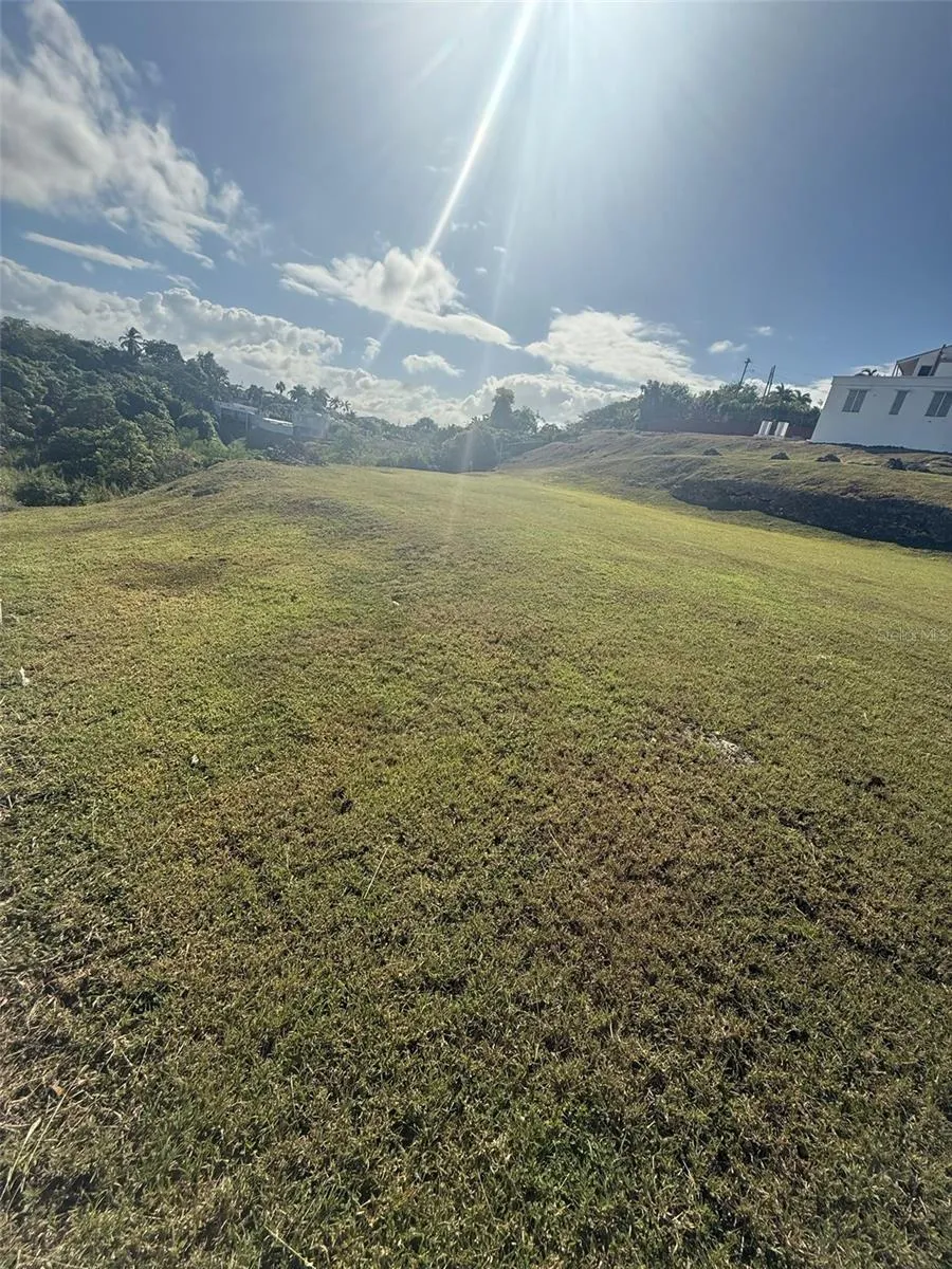 COLINAS DE PALMARITO Arecibo, PR 00612