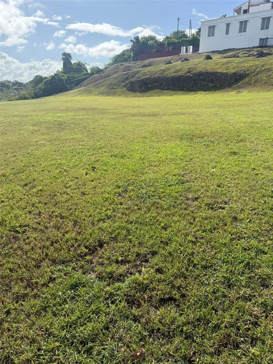 COLINAS DE PALMARITO Arecibo, PR 00612