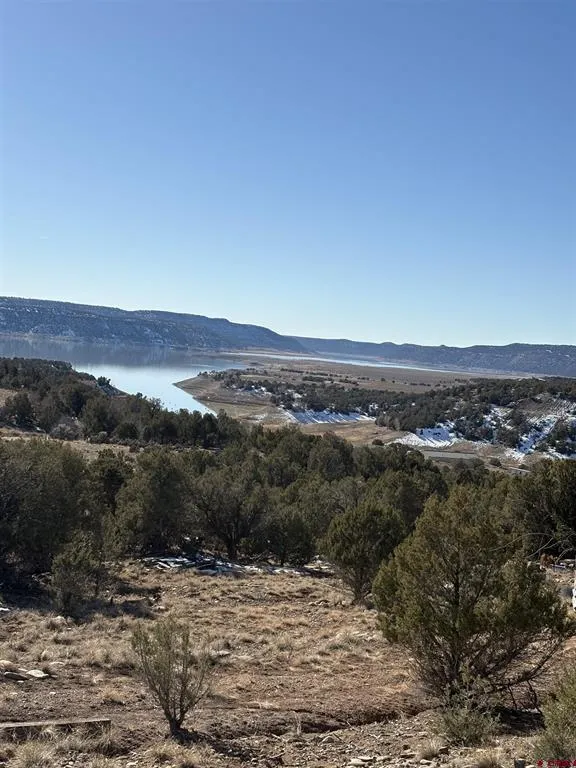 41 Val Verde Court Arboles, CO 81121