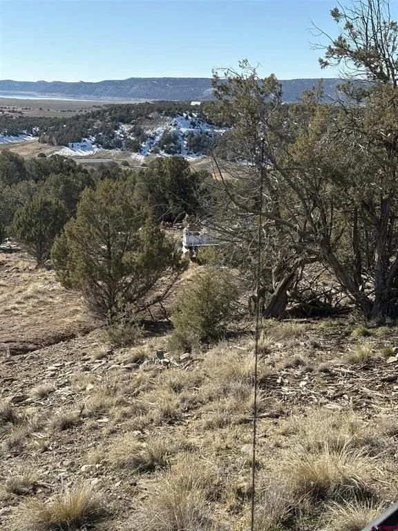 41 Val Verde Court Arboles, CO 81121
