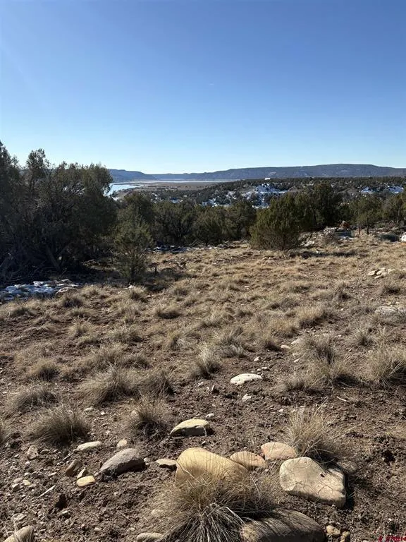 41 Val Verde Court Arboles, CO 81121