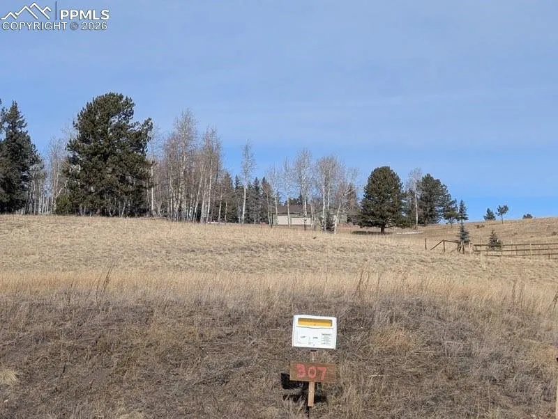 307 Pinaceae Heights Divide, CO 80814