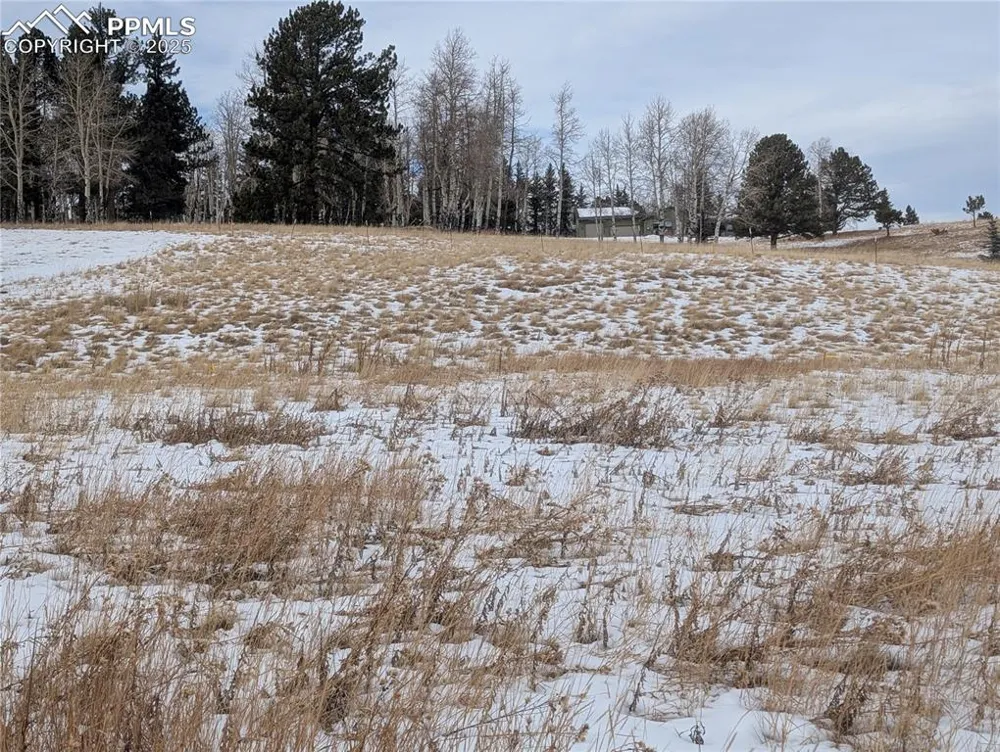 307 Pinaceae Heights Divide, CO 80814